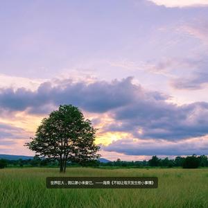 我乐意【翻自：许嵩】