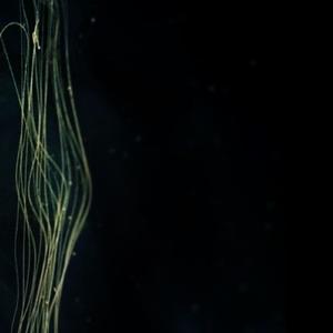 裏世界 (feat. 可不)