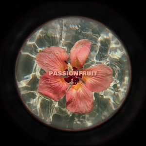 Passionfruit (Afro House)