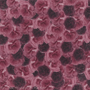 El silencio tiene un doble enemigo