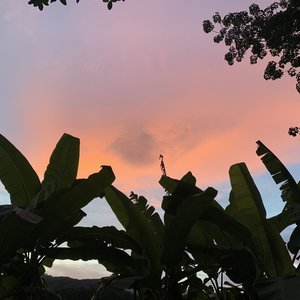 总在四下无人的夜里想起你