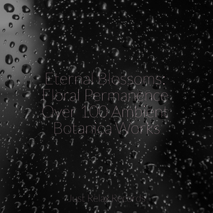 Sun Kissed Rhythm Dance