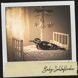 Kuschelküsten-Karussell