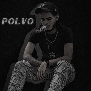 Polvo