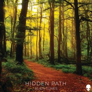 Hidden Path