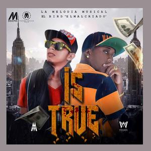 Is True (feat. El Bird el Malcriado)