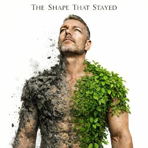 The Shape That Stayed