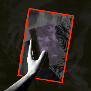 Study V: Ovid/Void