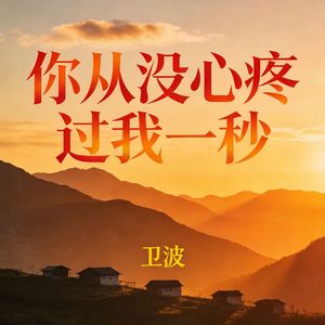 你从没心疼过我一秒(伴奏)