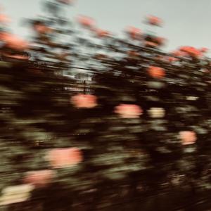 儿时（翻自 刘昊霖）（翻自 孟大宝）