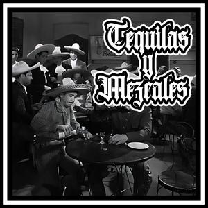 TEQUILAS Y MEZCALES