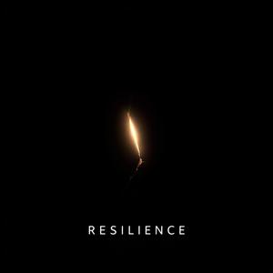 Resilience