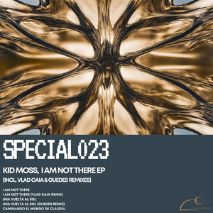 I Am Not There (Vlad Caia remix)