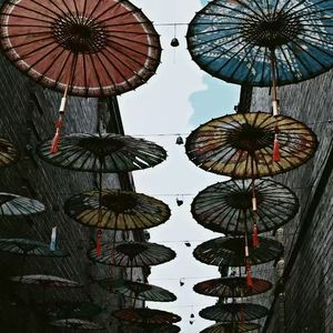 咸鱼光荣变废柴