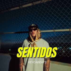 SENTIDOS