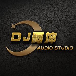柏松-柏松 - 世间美好与你环环相扣 (DJ阿坤 2019 ReMix)（Dj阿坤 remix）