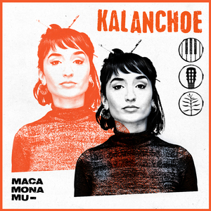 Pedir Perdón Ahora, Ahorra