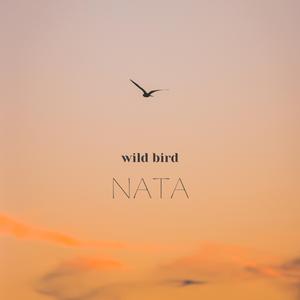 Wild Bird