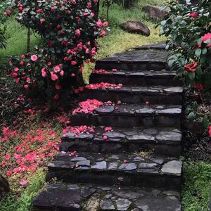 尘时 (《判官》广播剧第一季角色曲)