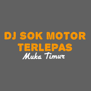Dj Sok Motor Terlepas (Remix)