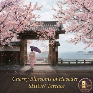 Cherry Blossoms of Hasedera