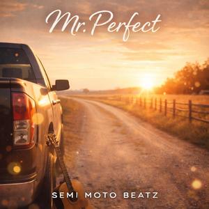 Mr. Perfect (Radio Edit)