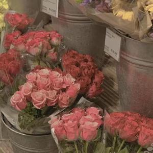 写给提奥的信    梵高(1)