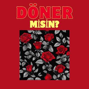Döner misin?