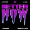 TELYKast - Better Now (feat. Francis Karel) (CharlieWonder & Armentani Brothers Remix)