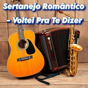 Sertanejo Romântico - Voltei Pra Te Dizer