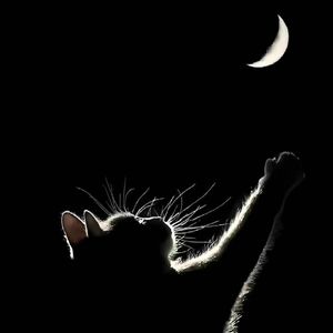 写在3月12（Prod by.HankJerry)