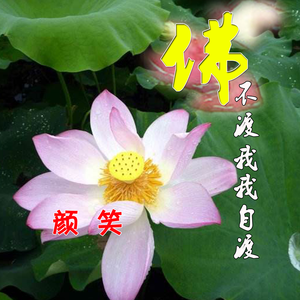 佛不渡我我自渡 (伴奏)