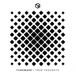 True Thoughts (Original Mix)