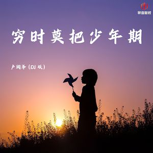 穷时莫把少年欺(DJ版)