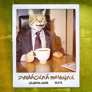 Дубайский темщик