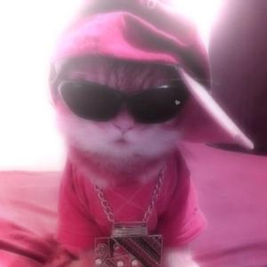 pharmacy fumble freestyle