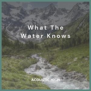 What The Water Knows