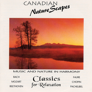 Clarinet Concerto In A Major