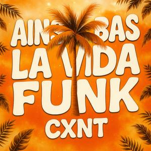 Ainsi Bas La Vida Funk