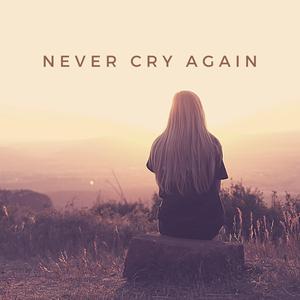 Never Cry Again (Jorn Van Deynhoven Remix)