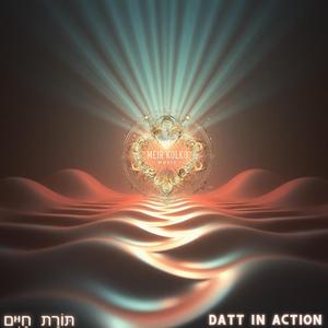 Datt in action תּוֹרַת חַיִּים,