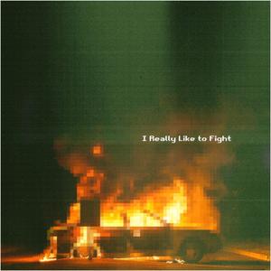 I Really Like to Fight