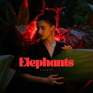 Elephants
