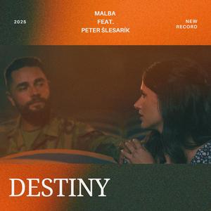 Destiny (feat. Peter Šlesarík)