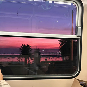 海阔天空尾奏+鲸落 (DJ版)