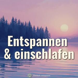 Im Morgennebel | Musik für tiefe Entspannung