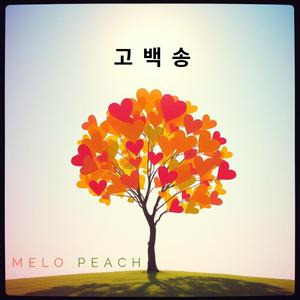 고백송