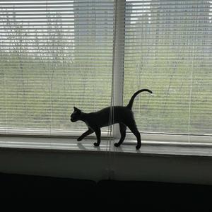 白媚生（翻自 Ice Paper）