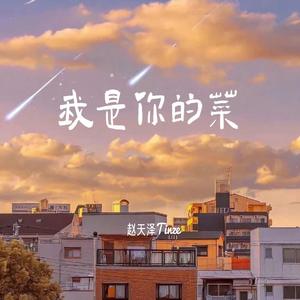 我是你的菜