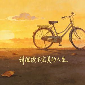 请继续不完美的人生